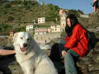 pastore abruzzese